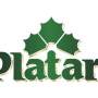 Platan 11